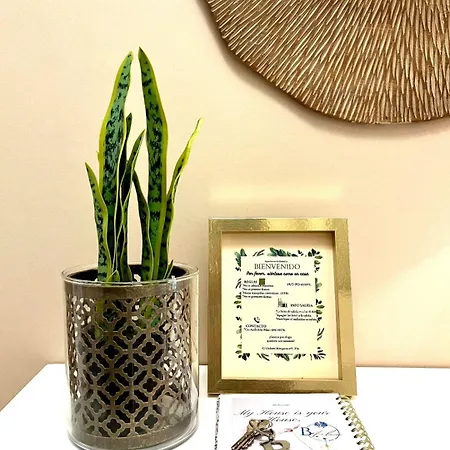 Betalia Apartment